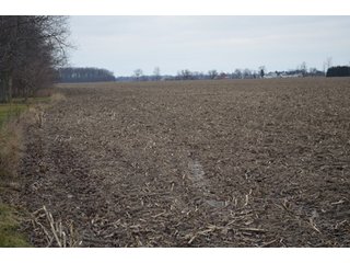 Property photo 7 - 175 Acres Offered in 5 Tracts - Tontogany, Ohio Farm Land Auction